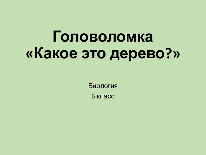 Головоломка «Какое это дерево?» Биология6 класс