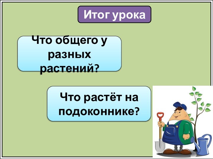 Итог урокаЧто общего у разных растений?Что растёт на подоконнике?