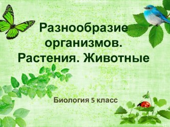 Разнообразие организмов. Растения. Животные