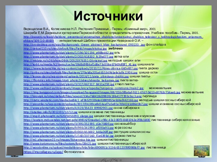 ИсточникиВерещагина В.А., Колясникова Н.Л. Растения Прикамья .- Пермь: «Книжный мир», 2001Шкараба Е.М.