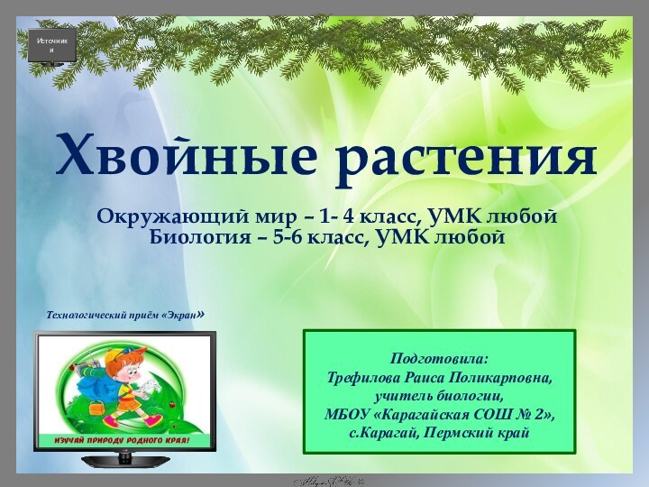 Подготовила:Трефилова Раиса Поликарповна,учитель биологии,МБОУ «Карагайская СОШ № 2»,с.Карагай, Пермский крайХвойные растенияОкружающий мир