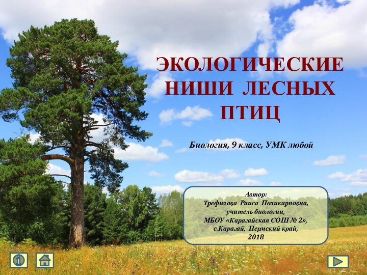 ЭКОЛОГИЧЕСКИЕ НИШИ ЛЕСНЫХ ПТИЦАвтор:Трефилова Раиса Поликарповна,учитель биологии,МБОУ «Карагайская СОШ № 2»,с.Карагай, Пермский