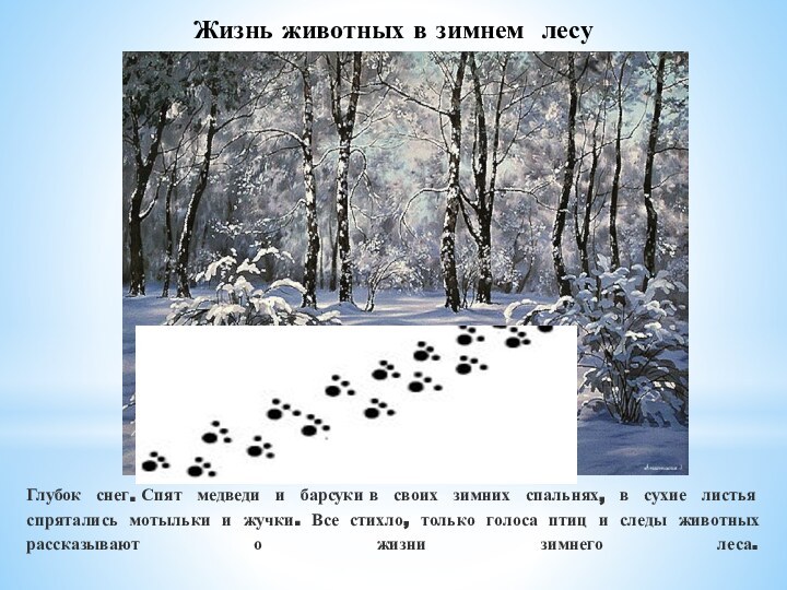 Жизнь животных в зимнем лесуГлубок снег. Спят медведи и барсуки в своих зимних спальнях,