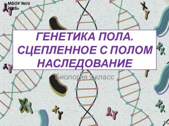 Презентация к уроку биологии по теме Генетика пола. Наследование признаков, сцепленных с полом