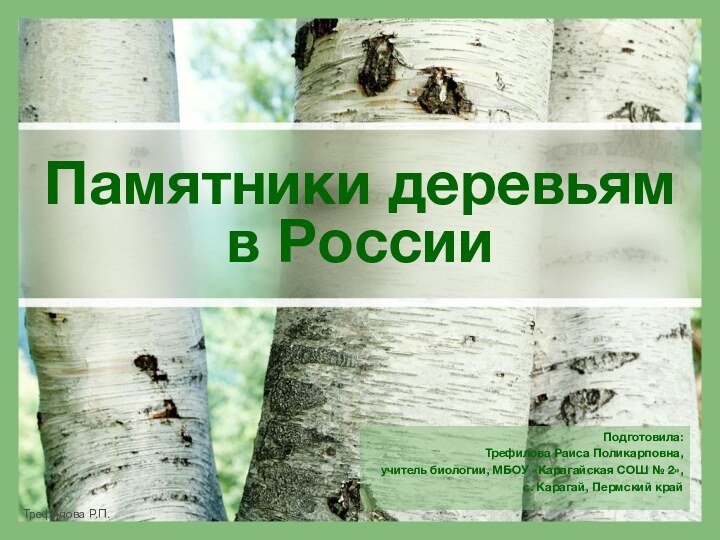 Подготовила: Трефилова Раиса Поликарповна,учитель биологии, МБОУ «Карагайская СОШ № 2»,с. Карагай, Пермский крайПамятники деревьям в России