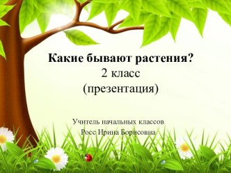 Урок окружающего  мира  во 2 классе Какие бывают растения (презентация).