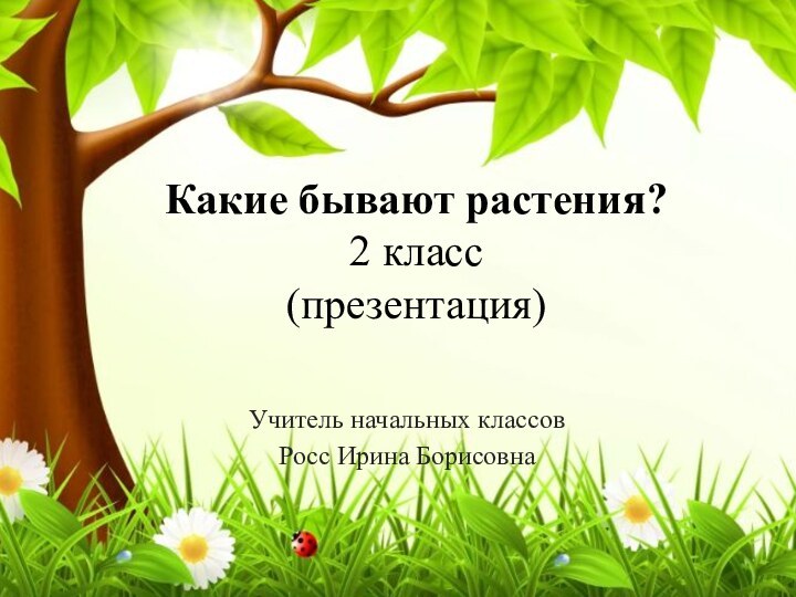 Какие бывают растения? 2 класс (презентация)Учитель начальных классовРосс Ирина Борисовна