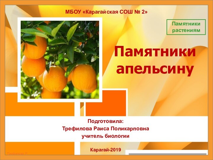 Памятники апельсинуПодготовила:Трефилова Раиса Поликарповнаучитель биологии Карагай-2019МБОУ «Карагайская СОШ № 2»Памятники растениям