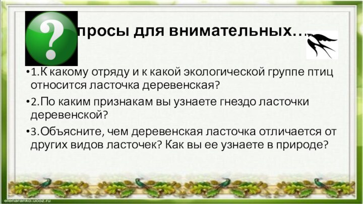 Вопросы для внимательных…1.К какому отряду и к какой экологической группе птиц относится