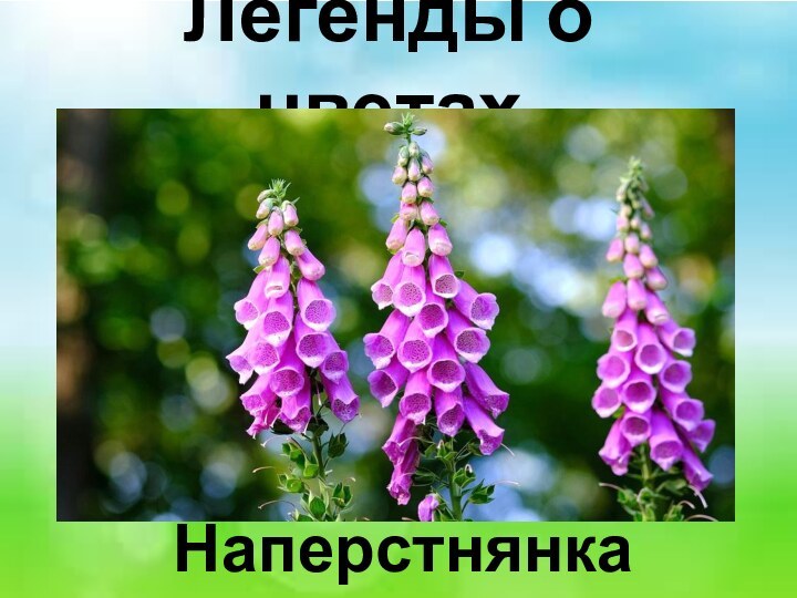 Легенды о цветах Наперстнянка