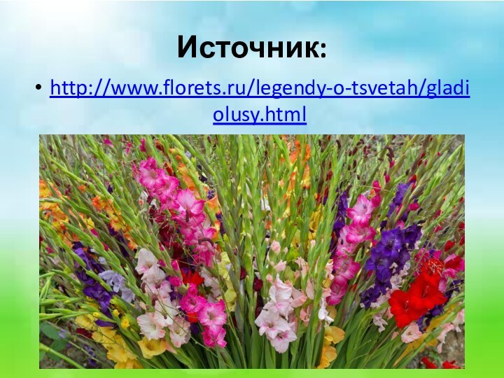 Источник:http://www.florets.ru/legendy-o-tsvetah/gladiolusy.html
