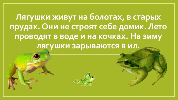 Лягушки живут на болотах, в старых прудах. Они не строят себе домик.