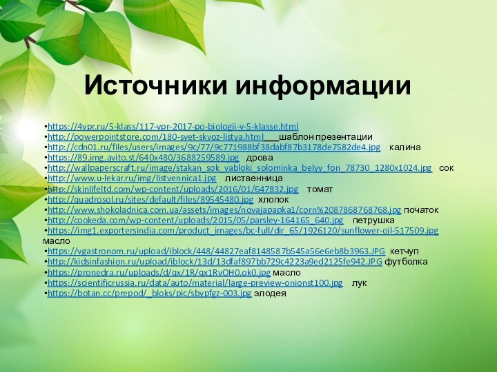 Источники информацииhttps://4vpr.ru/5-klass/117-vpr-2017-po-biologii-v-5-klasse.htmlhttp://powerpointstore.com/180-svet-skvoz-listya.html    шаблон презентацииhttp://cdn01.ru/files/users/images/9c/77/9c771988bf38dabf87b3178de7582de4.jpg  калинаhttps://89.img.avito.st/640x480/3688259589.jpg  дроваhttp://wallpaperscraft.ru/image/stakan_sok_yabloki_solominka_belyy_fon_78730_1280x1024.jpg