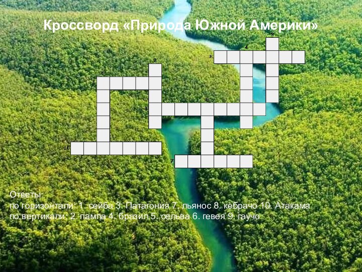 Кроссворд «Природа Южной Америки»Ответы: по горизонтали: 1. сейба 3. Патагония 7. льянос