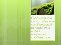 Моховидные Псковской области. Роль мхов в природных сообществах.