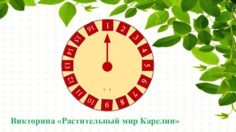 Интерактивная викторина Растительный мир Карелии.