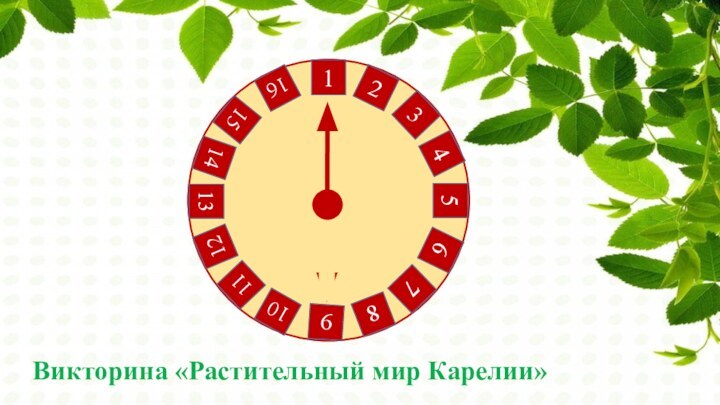 12345678910161112131415Викторина «Растительный мир Карелии»