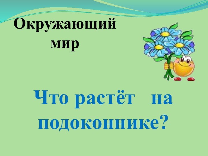 Окружающий мирЧто растёт  на подоконнике?