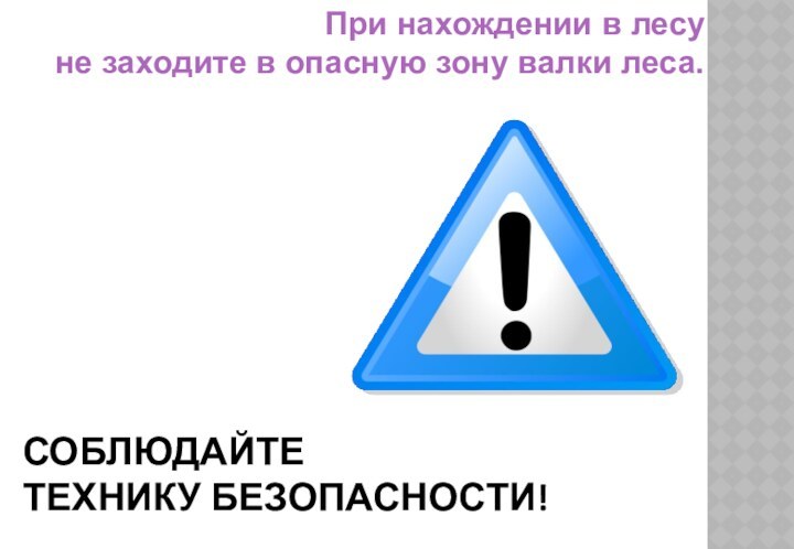 СОБЛЮДАЙТЕ ТЕХНИКУ БЕЗОПАСНОСТИ!При нахождении в лесу не заходите в опасную зону валки леса.