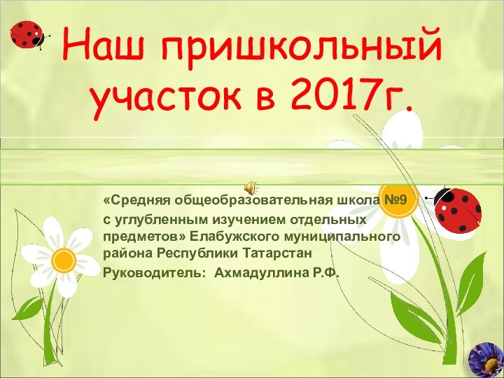 Наш пришкольный участок в 2017г.«Средняя общеобразовательная школа №9 с углубленным изучением отдельных