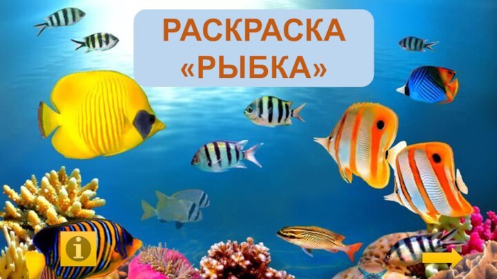 РАСКРАСКА «РЫБКА»