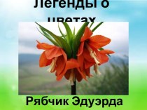 Презентация Легенды о цветах. Рябчик Эдуарда