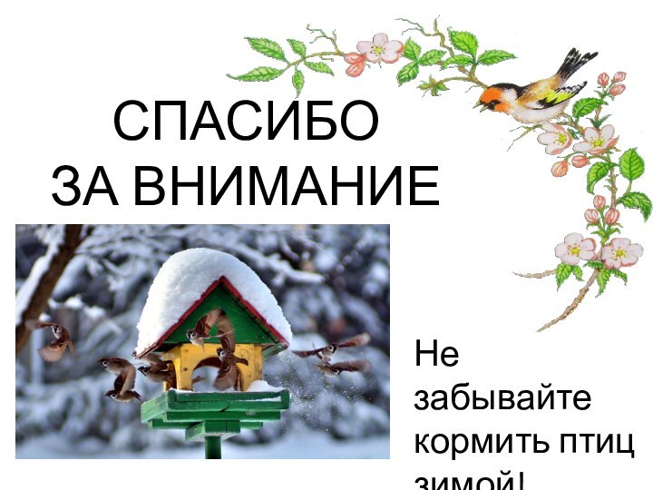 СПАСИБО  ЗА ВНИМАНИЕ  Не забывайте кормить птиц зимой!