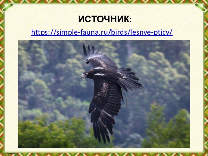 ИСТОЧНИК:https://simple-fauna.ru/birds/lesnye-pticy/