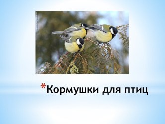 Презентация Кормушки для птиц