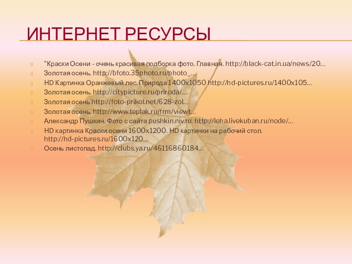 Интернет ресурсы