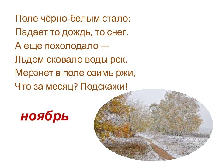 ноябрьПоле чёрно-белым стало: Падает то дождь, то снег. А еще похолодало —