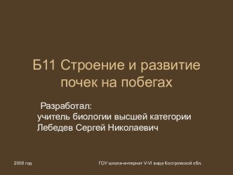 Презентация Строение и развитие почек на побегах