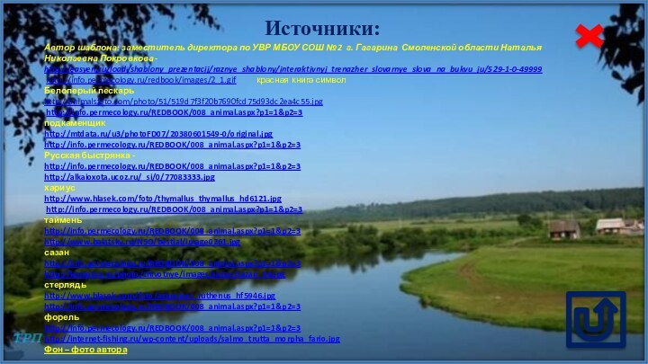 Источники:Автор шаблона: заместитель директора по УВР МБОУ СОШ № 2 г. Гагарина