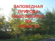 Презентация Заповедная природа Новосибирской области