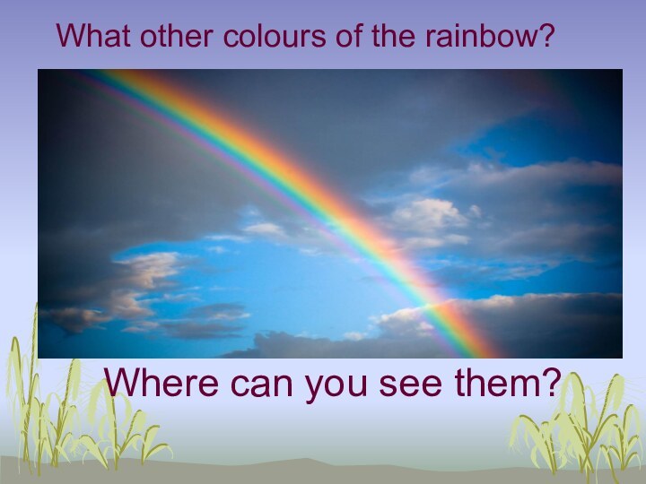 What other colours of the rainbow?   Where can you see them?