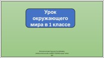 Презентация к уроку окружающего мира в 1 классе.  Куда текут реки?