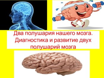 Презентация Два полушария нашего мозга
