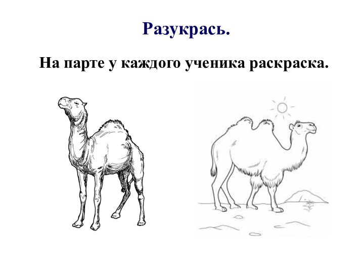 Разукрась.На парте у каждого ученика раскраска.