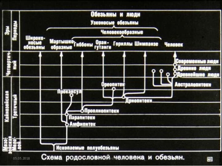 4 часть