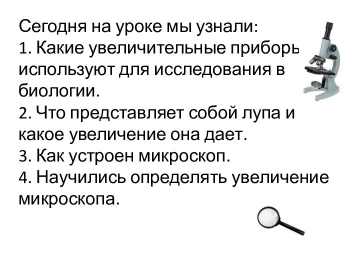 Сегодня на уроке мы узнали:1. Какие увеличительные приборы используют для исследования в