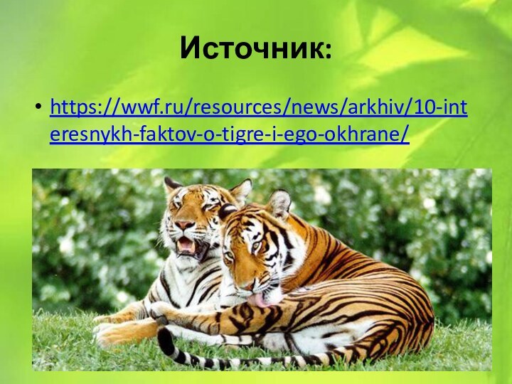 Источник:https://wwf.ru/resources/news/arkhiv/10-interesnykh-faktov-o-tigre-i-ego-okhrane/