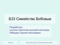 Презентация Семейство Бобовые