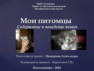 Мои питомцы