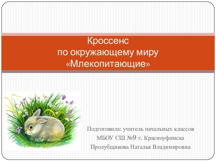 Подготовила: учитель начальных классов МБОУ СШ №9 г. КрасноуфимскаПролубщикова Наталья ВладимировнаКроссенс