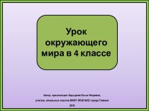 Презентация к уроку окружающего мира Ледяная зона, 4 класс