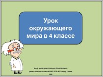 Презентация к уроку окружающего мира. Обобщающий урок по теме: Родной край-часть великой России, 4 класс