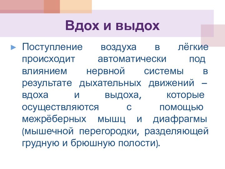 Вдох и выдохПоступление воздуха в лёгкие происходит автоматически под влиянием нервной системы