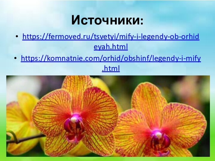 Источники:https://fermoved.ru/tsvetyi/mify-i-legendy-ob-orhideyah.htmlhttps://komnatnie.com/orhid/obshinf/legendy-i-mify.html