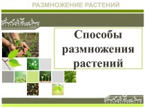 Презентация Способы размножения растений