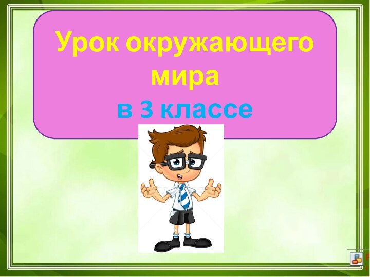 Урок окружающего мира в 3 классе